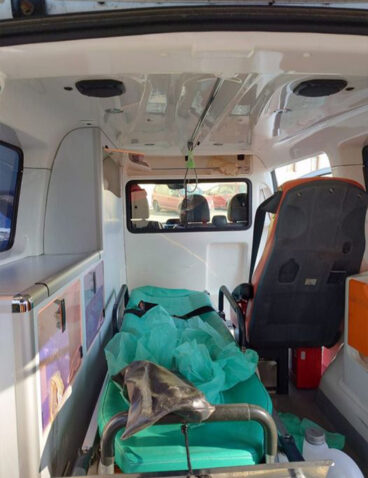 An ambulance vehicle was bought for the front